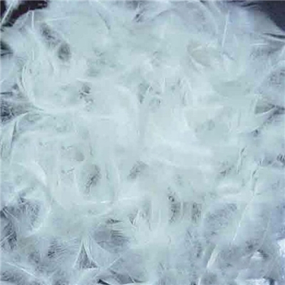washed white duck feather 4-6CM